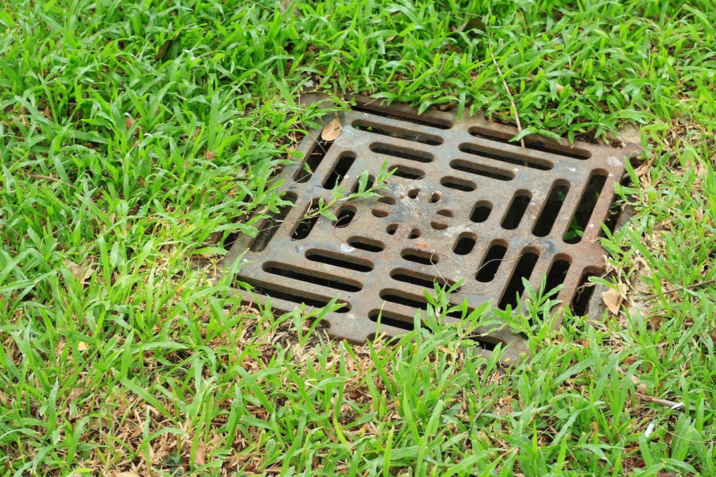 Drain Field Remediation Piedmont Greenville SC Jonathan drain-field-remediation-piedmont-greenville-sc-jonathan